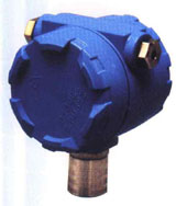 ��������ȼ����̽����  