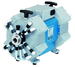 �������͸�Ĥ�� 