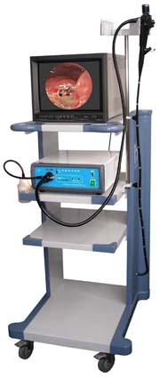 ��ά�᳦��(��������13��1650mm��