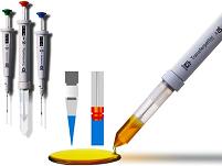 ���û�����Һ�� �¹� 