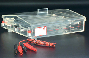 ��ʽˮƽ��Ӿ��