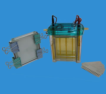 ˫��ֱ���Ӿ�ۣ��кţ�