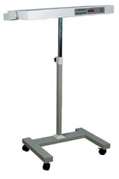 ����������������(����) 